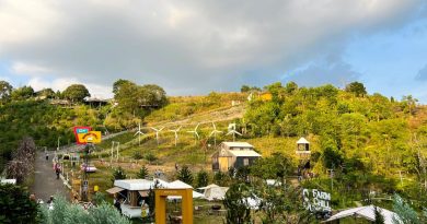 Thư giãn giữa nông trại thơ mộng tại Sunset Chill Farm – Bảo Lộc 39