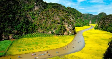 Du lịch Ninh Bình – 10 điểm đến cho trải nghiệm bất tận ở vùng đất cố đô 7