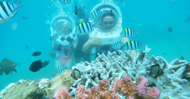 Du lịch Việt Nam: Khám phá 5 vùng biển lặn ngắm san hô nổi tiếng 46