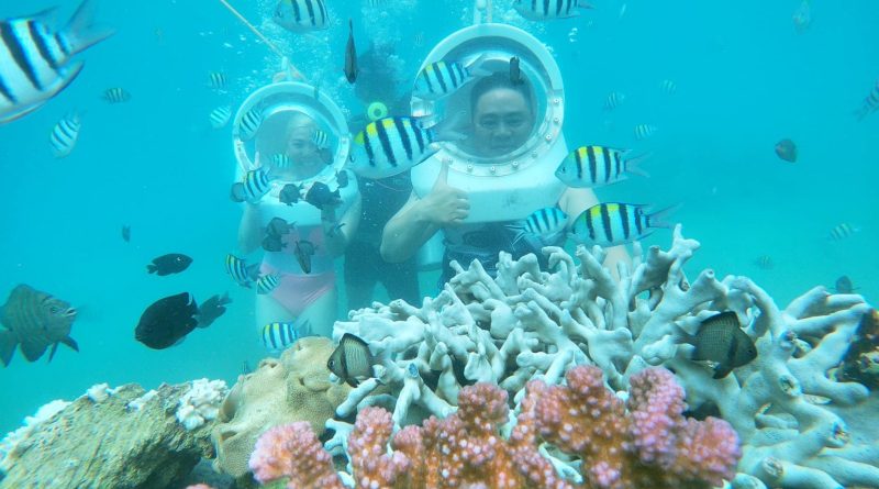 Du lịch Việt Nam: Khám phá 5 vùng biển lặn ngắm san hô nổi tiếng 29