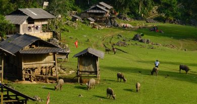Hang Táu – bản làng nguyên sơ ở Mộc Châu khiến du khách mê mẩn 14
