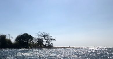 Hòn Thầy Bói – hoang đảo yên bình ít ai biết ở Phú Quốc 7