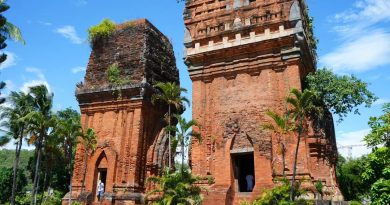 Tháp Đôi Quy Nhơn – di tích mang vẻ đẹp hiếm có ở vùng đất võ 142