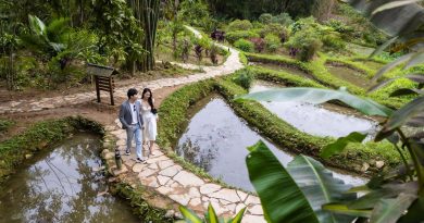 Hòa mình vào thiên nhiên trong trẻo tại Panhou Retreat Hà Giang 6