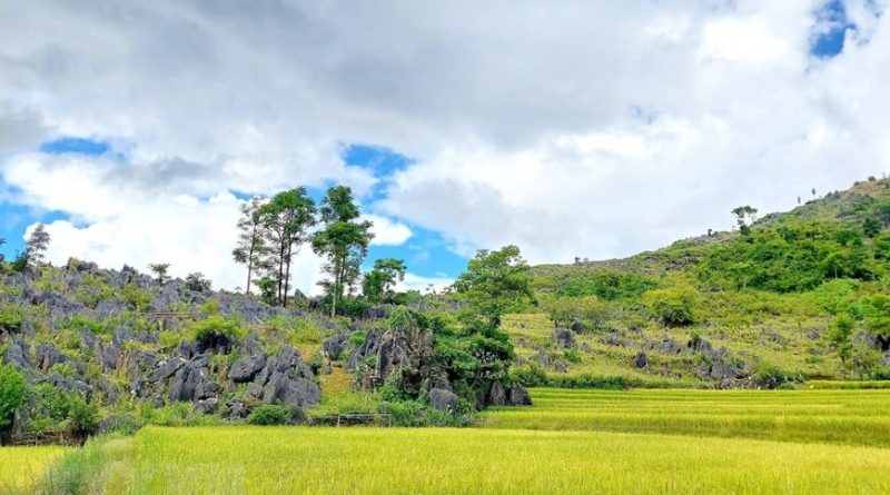 Du lịch Tủa Chùa – điểm đến hấp dẫn mới ở Điện Biên 17