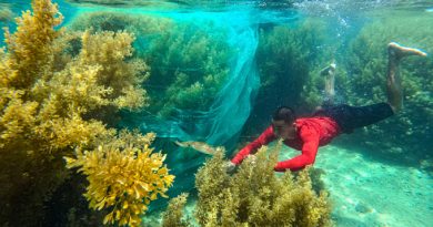 Những điểm lặn biển ngắm san hô đẹp ở Việt Nam từ Bắc xuống Nam 5
