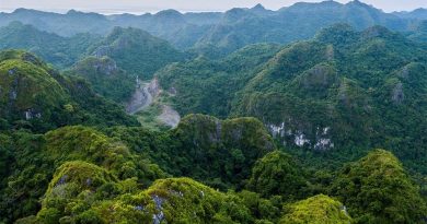 7 vườn quốc gia đẹp nhất ở Việt Nam 57