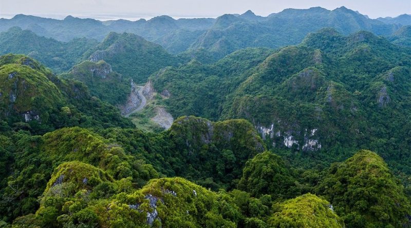 7 vườn quốc gia đẹp nhất ở Việt Nam 33