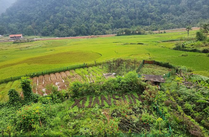 Về với thiên nhiên tươi đẹp ở vườn quốc gia Xuân Sơn, Phú Thọ 35