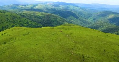 Lạc bước vào thảo nguyên Pal Sol – Hòa mình cùng vẻ đẹp của thiên nhiên 60